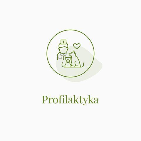 Profilaktyka